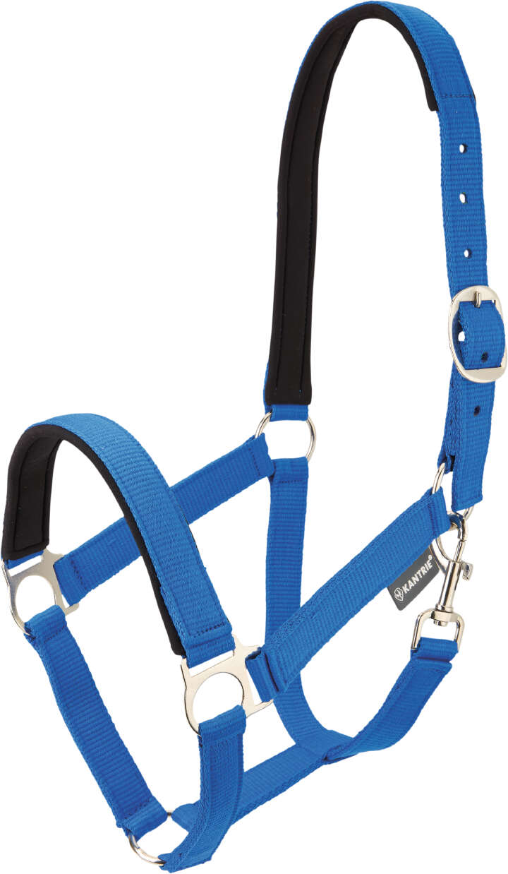 KANTRIE Halfter Meadow